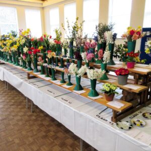 Old Catton Horticultural Club Spring Show