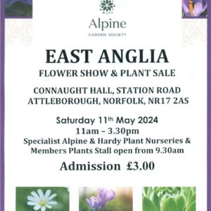 Alpine Garden Society East Anglia Show