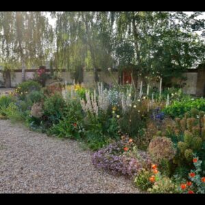 Norfolk & Suffolk Hardy Plant Society Visit & Members' Plant Sale to The Lodge