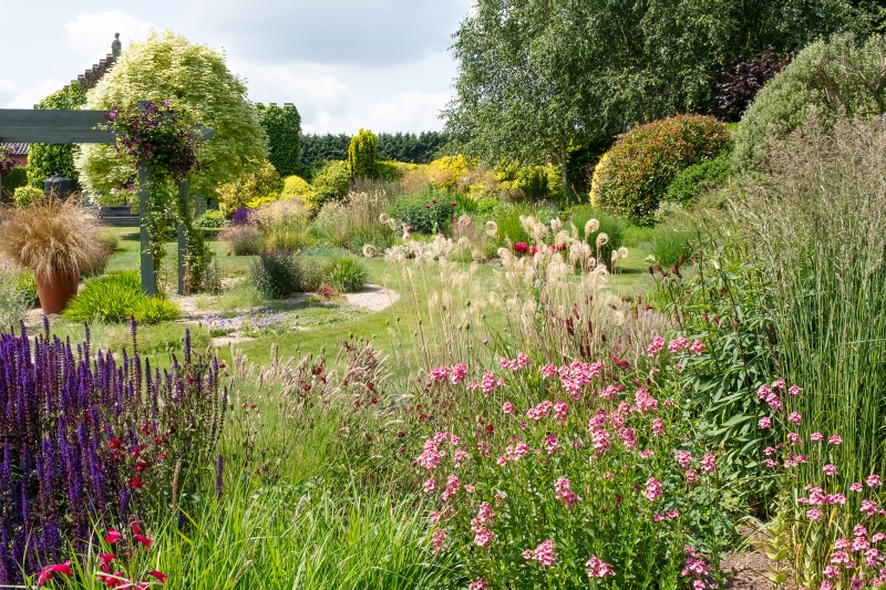 Norfolk & Suffolk Hardy Plant Society: Garden Visit to Severals Grange, Holt Road, Wood Norton, Norfolk NR20 5BL