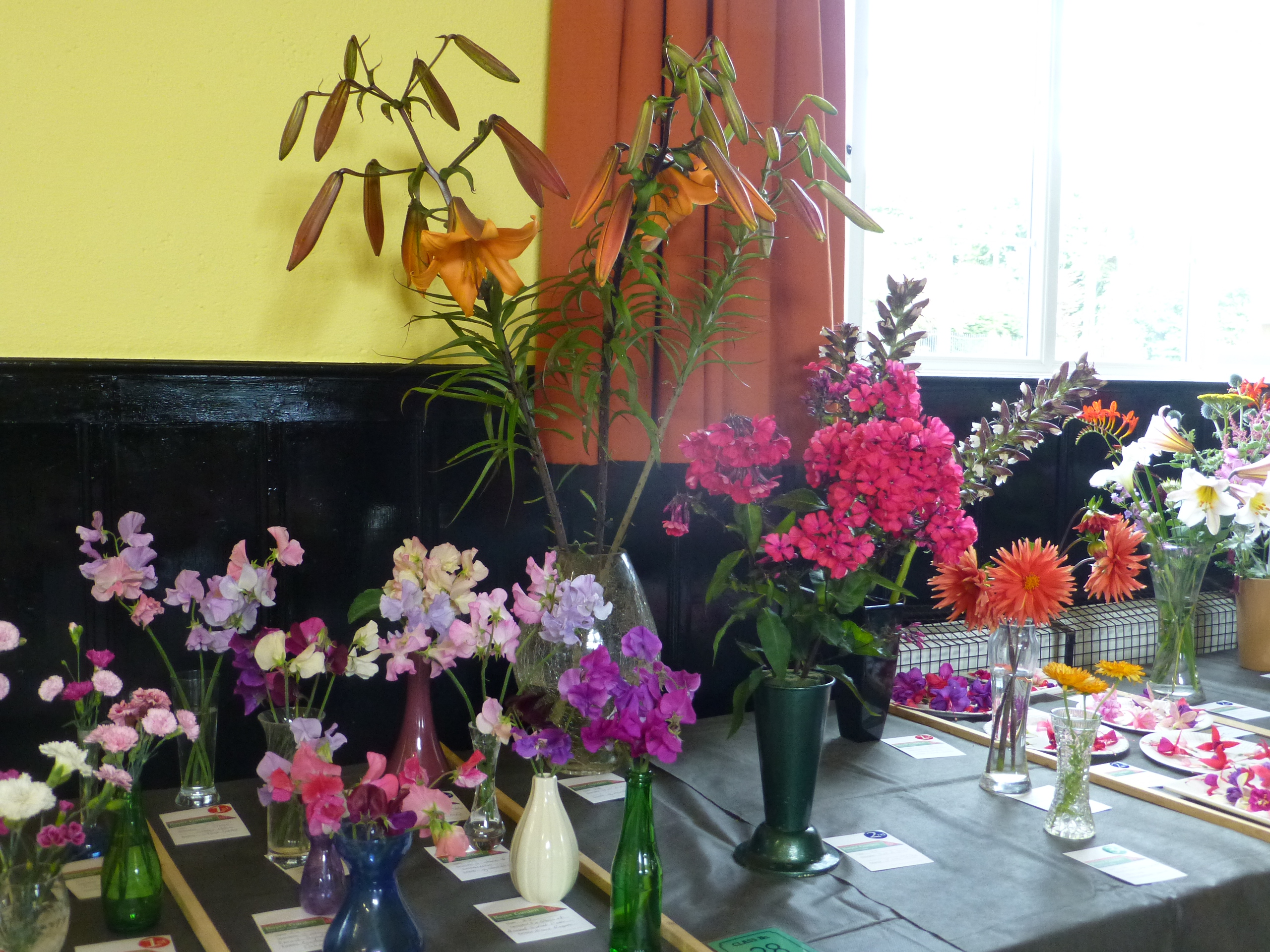 Bloefield & District Gardening Club – “William Morris Gardens” by well-known horticulturalist and author Andrew Sankey.